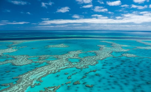 Great Barrier Reef - Cruise Whitsundays