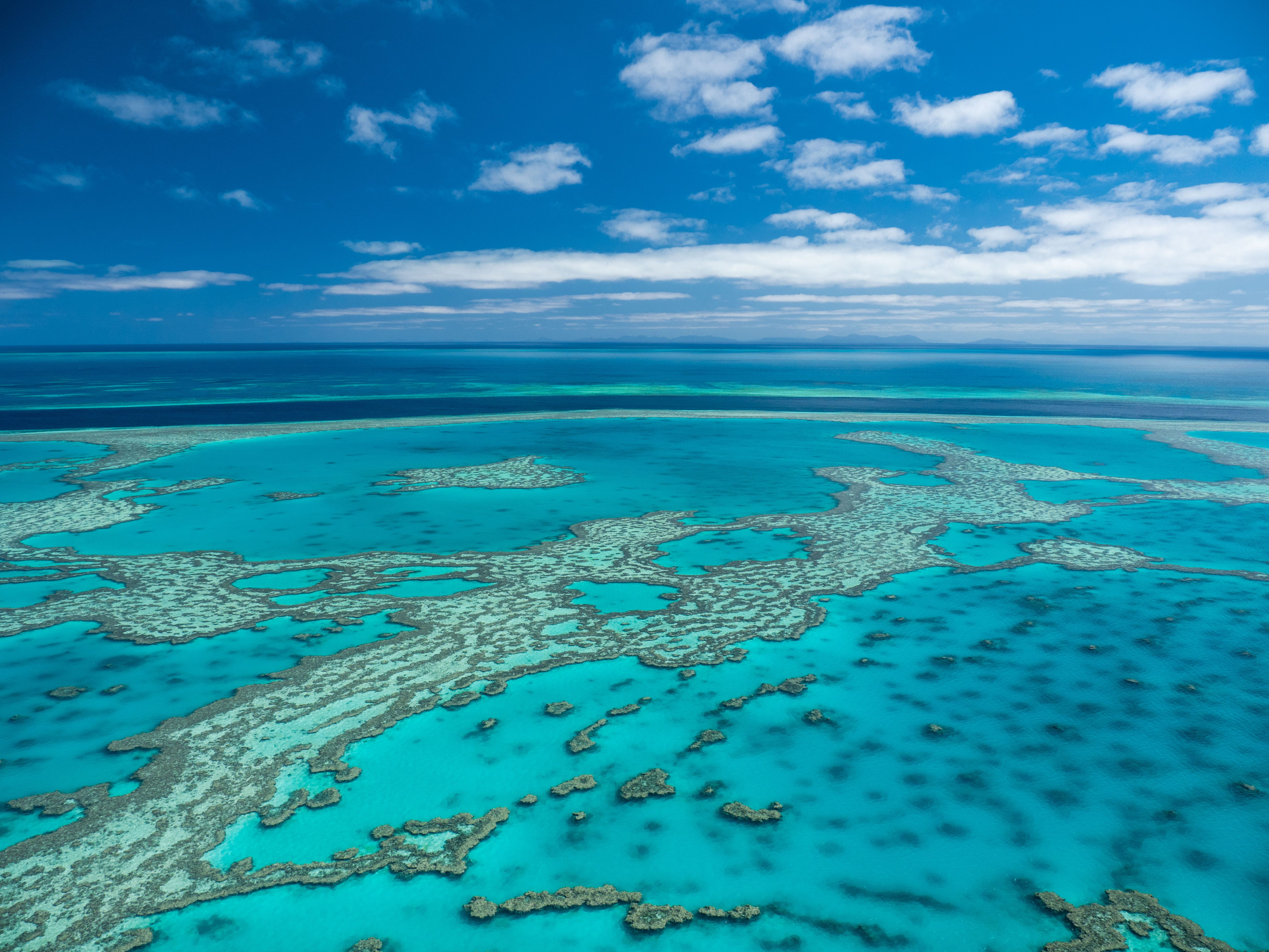 Great Barrier Reef - Cruise Whitsundays