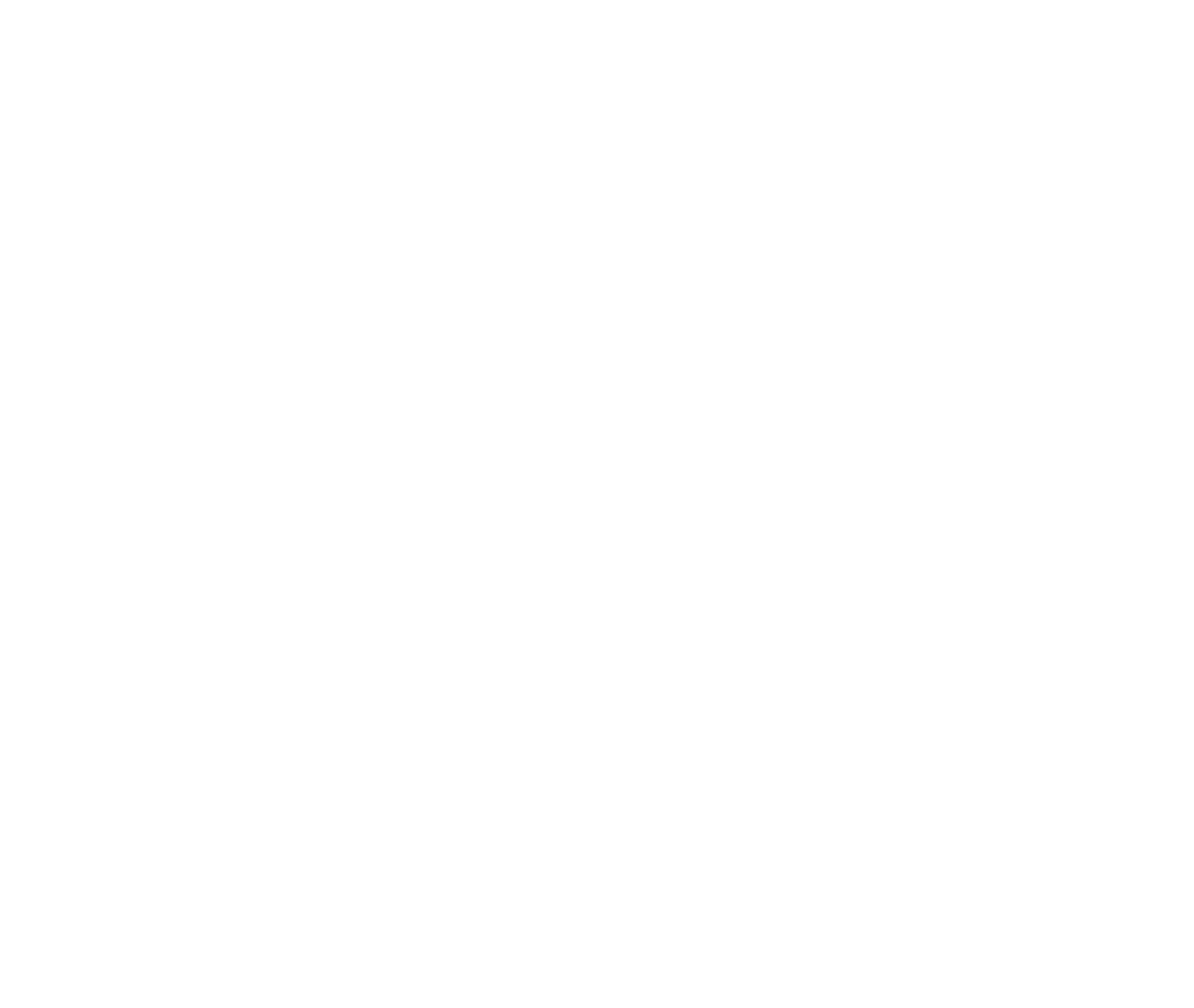 Cruise Reverse Logo - Black &amp; White