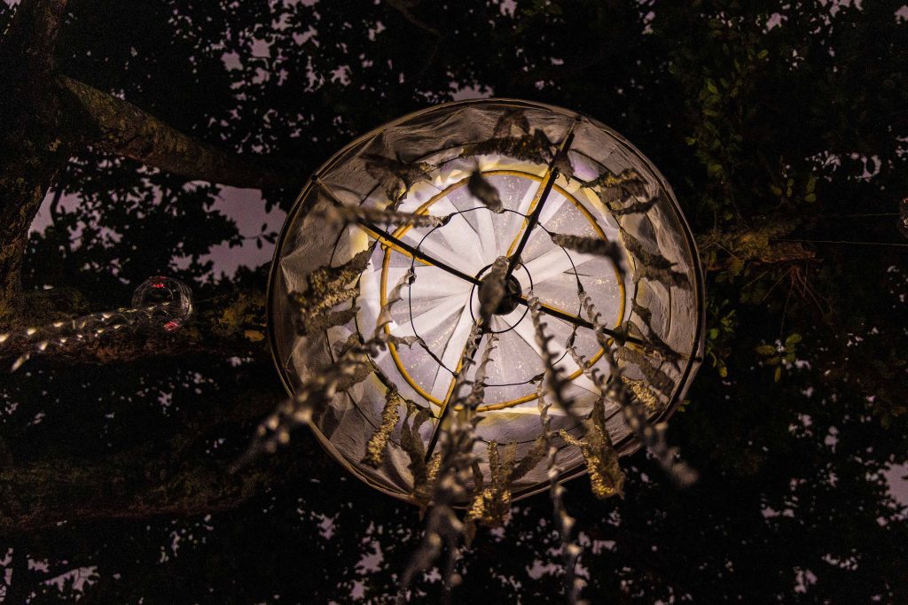 Great Barrier Reef Festival Immerse Art Installation