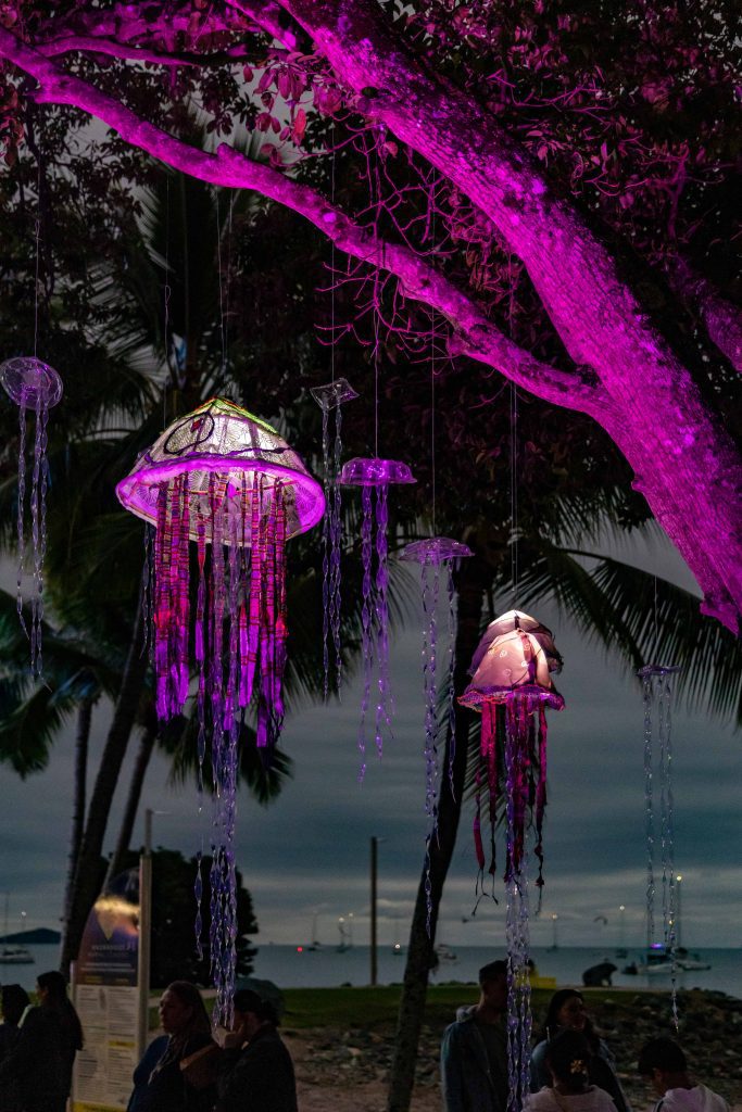 Great Barrier Reef Festival Immerse Art Installation