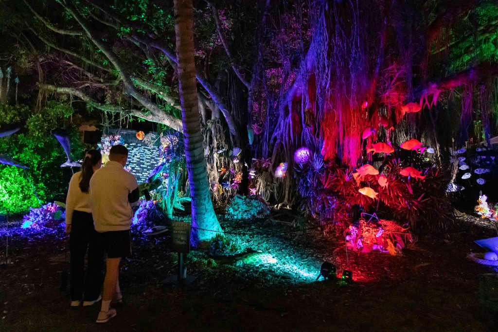 Great Barrier Reef Festival Immerse Art Installation