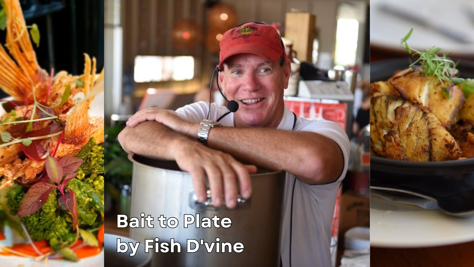 Fish D'Vine Bait to Plate