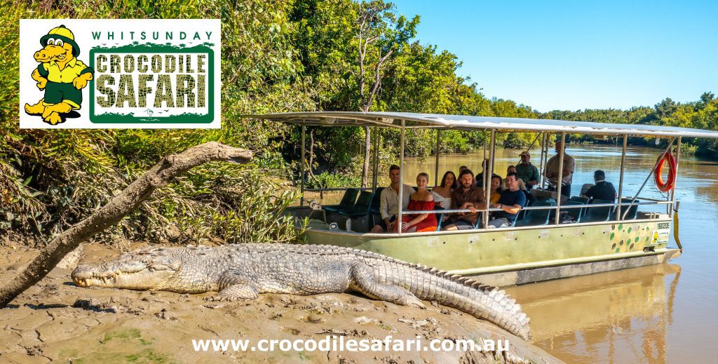 Croc Safari